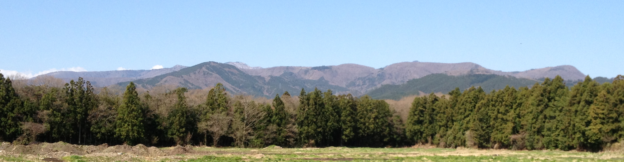 株式会社 ぜんちく那須山麓牧場